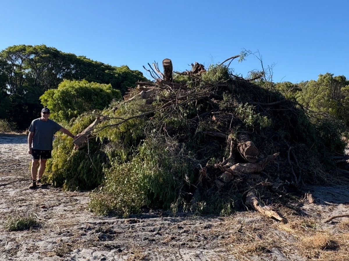 Burn pile to build-ready pad before
