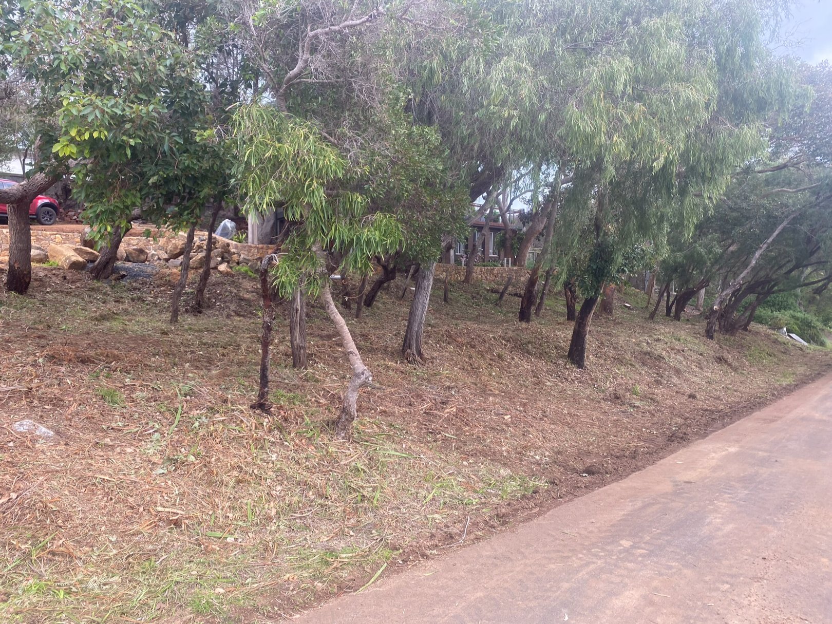 Roadside tidy-up